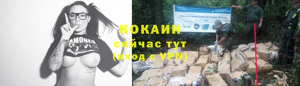 прущие крисы Кодинск