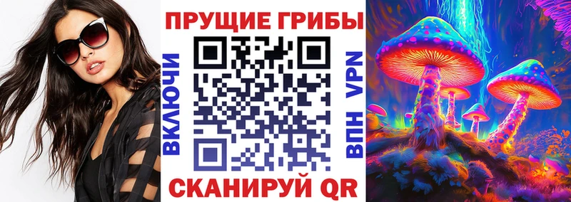 Купить  Елизаветинская  Галлюциногенные грибы ЛСД 
